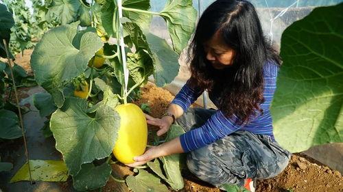 梦见和先祖吃瓜,与先祖共品瓜香