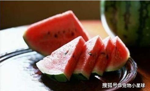 梦见吃老田瓜,揭秘吃老田瓜的神秘寓意