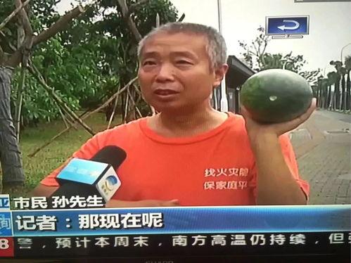 2018吃瓜热门事件,盘点那些引爆网络的热门事件