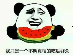 吃瓜群众热门,揭秘娱乐圈最新热点事件