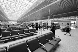 郑州东站吃瓜,瓜果飘香，美食之旅