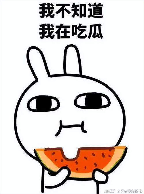 吃瓜顾客,一场场热闹的“瓜界”盛宴