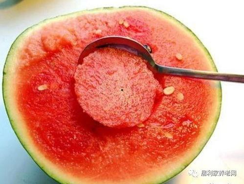 丁克族吃瓜,吃瓜群众的独特饮食世界