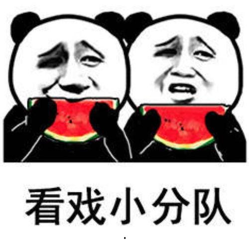 吃瓜表情包理解图,揭秘网络社交中的幽默与讽刺