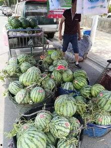 镇江捞人吃瓜事件,一场网络热议的道德争议