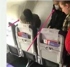 吃瓜群众回家过年