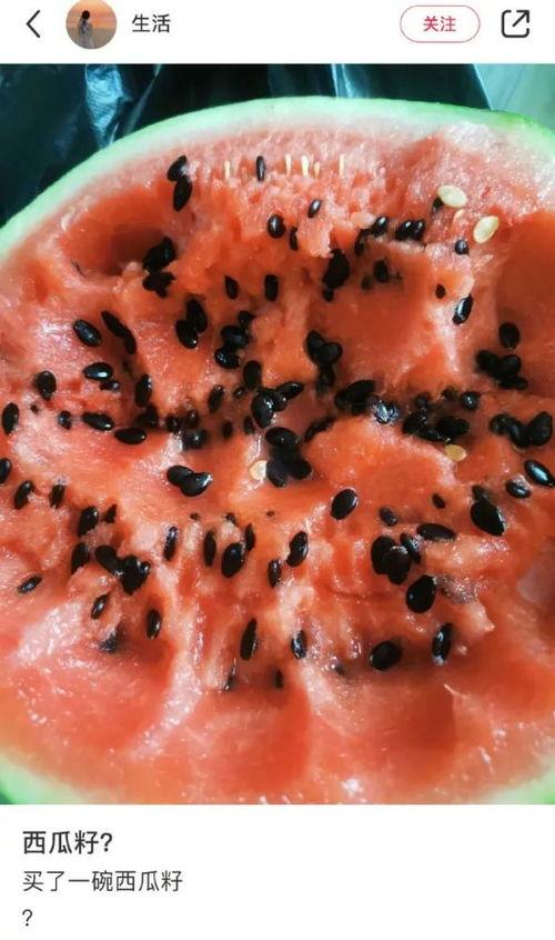 吃瓜吃出图案,吃瓜也能吃出艺术图案