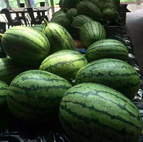 光遇吊床吃瓜,揭秘神秘吃瓜事件背后的秘密